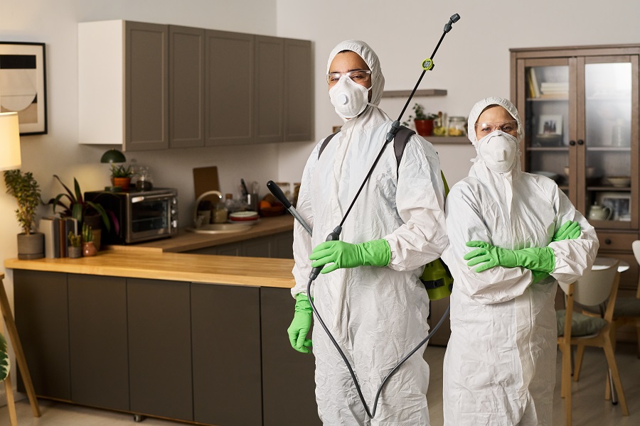 What People Are Saying About Hawx Pest Control